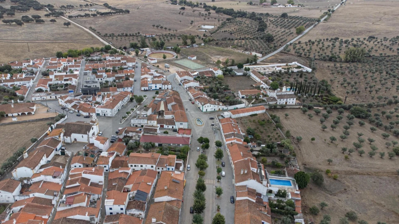 Quinta T7 para Venda em Assumar Foto 4