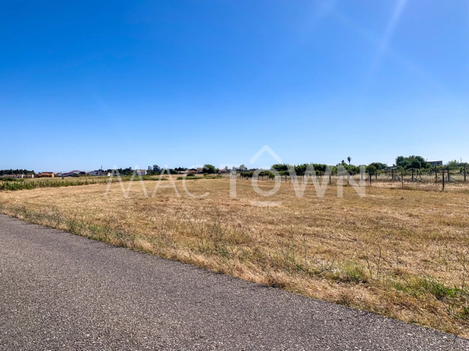 Terreno para Venda em Alpiarça Foto 15