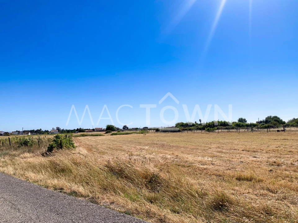 Terreno para Venda em Alpiarça Foto 17