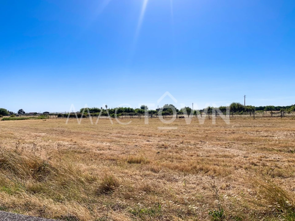 Terreno para Venda em Alpiarça Foto 18