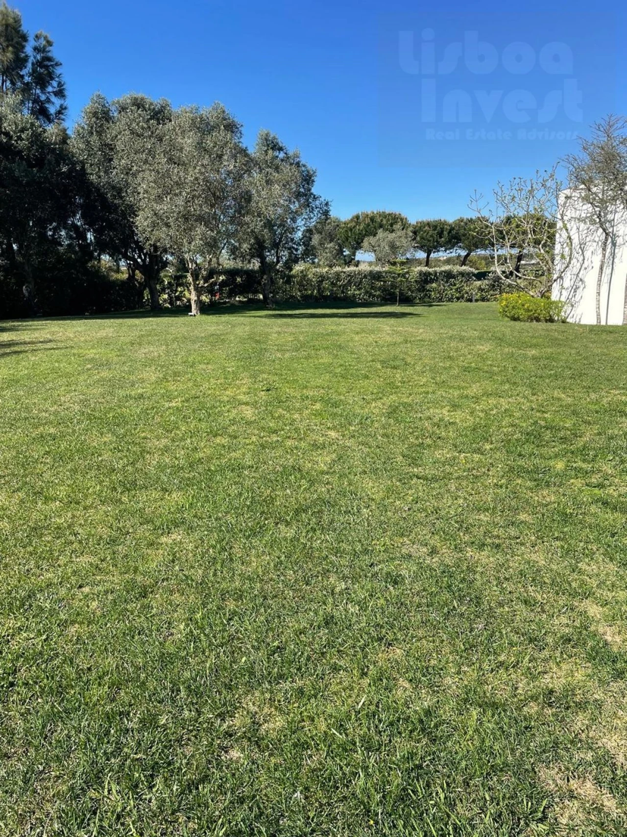Moradia T4 para Venda em Vau Foto 14