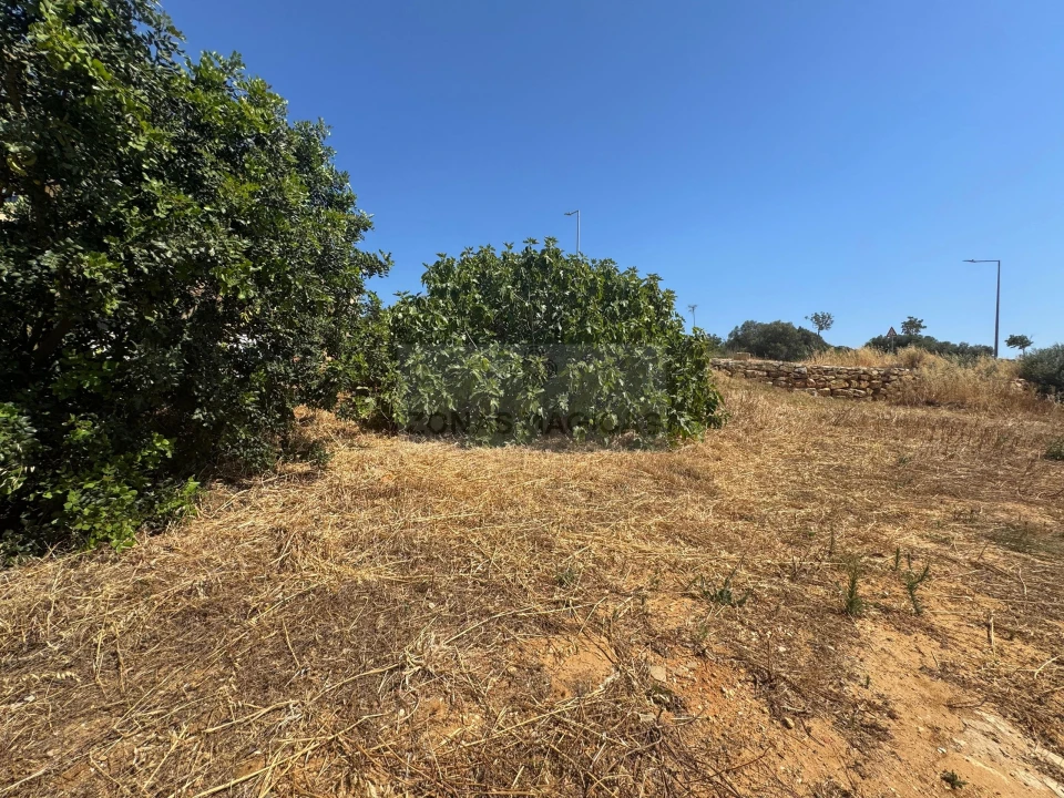 Terreno para Venda em Lagos (São Sebastião e Santa Maria) Foto 6