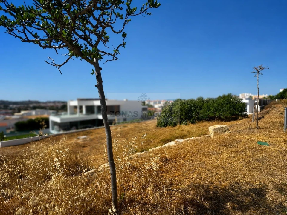 Terreno para Venda em Lagos (São Sebastião e Santa Maria) Foto 1
