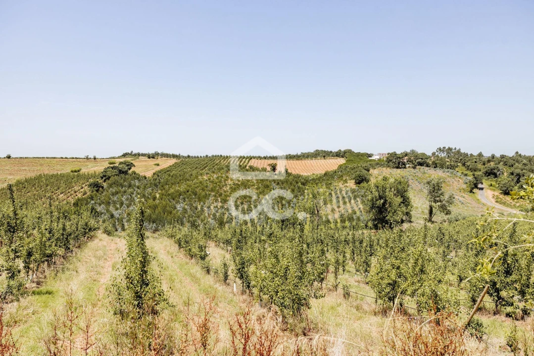 Quinta T10 para Venda em Santa Maria, São Pedro e Matacães Foto 41