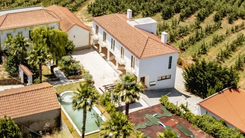 Quinta T10 para Venda em Santa Maria, São Pedro e Matacães