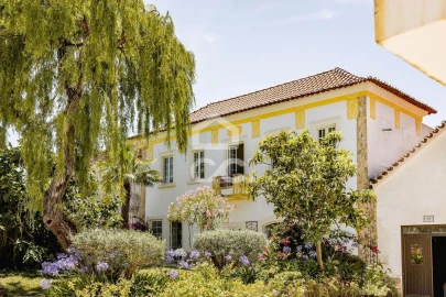 Quinta T10 para Venda em Santa Maria, São Pedro e Matacães
