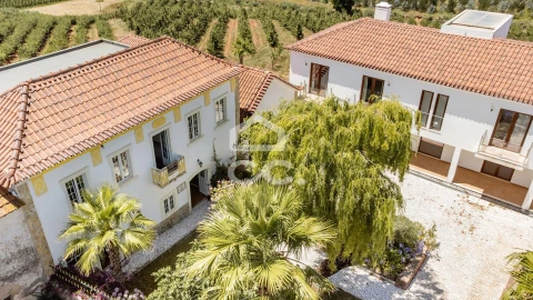 Quinta T10 para Venda em Santa Maria, São Pedro e Matacães
