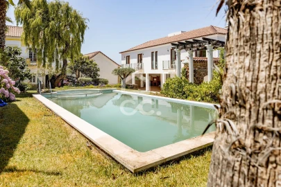 Quinta T10 para Venda em Santa Maria, São Pedro e Matacães