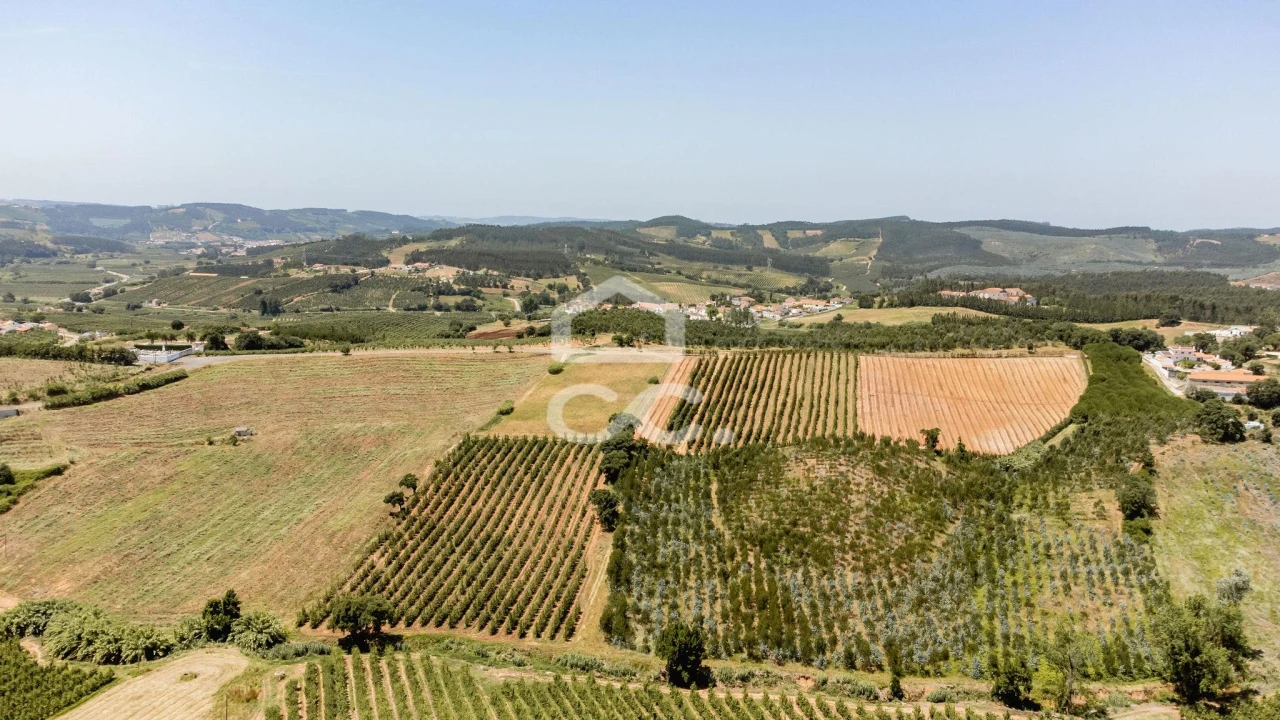 Quinta T10 para Venda em Santa Maria, São Pedro e Matacães Foto 4