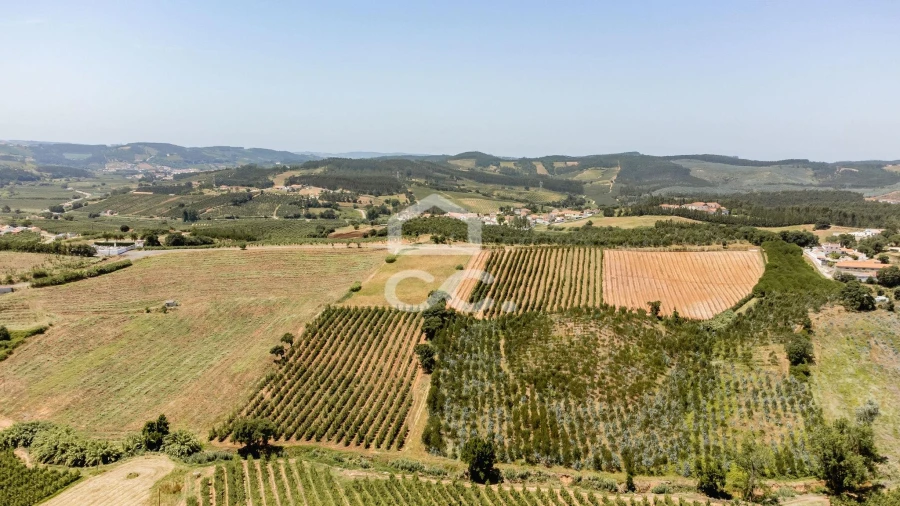 Quinta T10 para Venda em Santa Maria, São Pedro e Matacães Foto 4