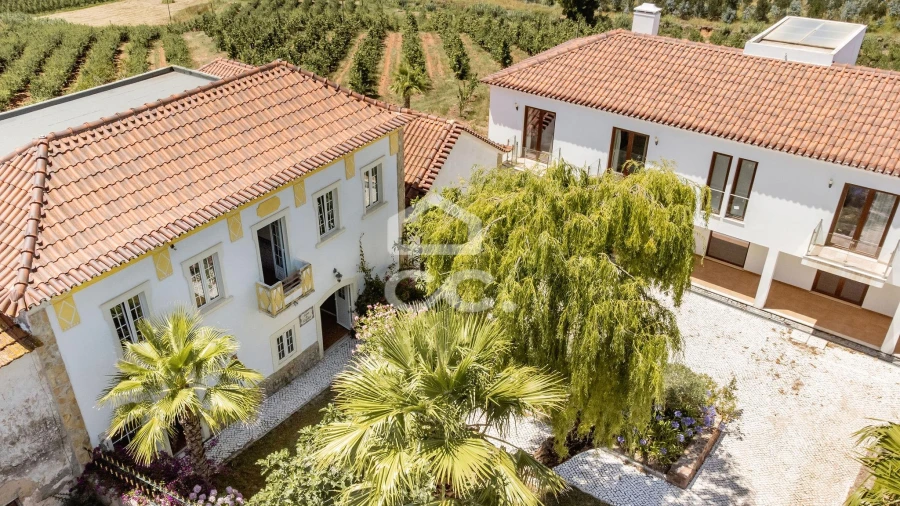 Quinta T10 para Venda em Santa Maria, São Pedro e Matacães Foto 6