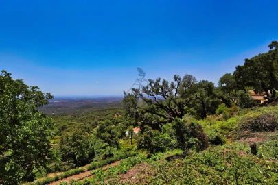 Terreno para Venda em Monchique