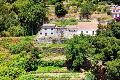 Terreno para Venda em Monchique