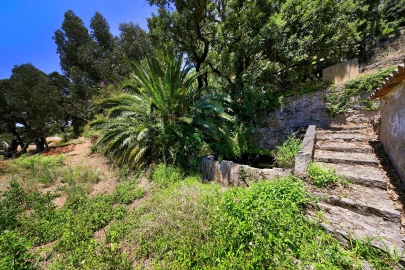 Terreno para Venda em Monchique