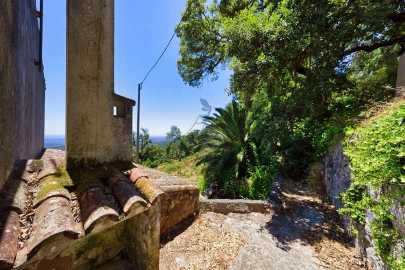 Terreno para Venda em Monchique