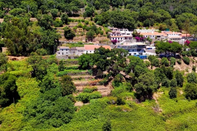 Terreno para Venda em Monchique