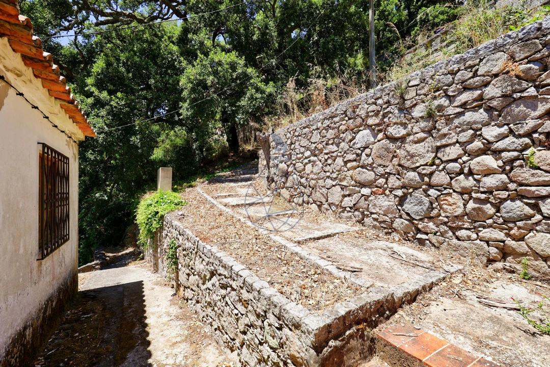Terreno para Venda em Monchique Foto 10