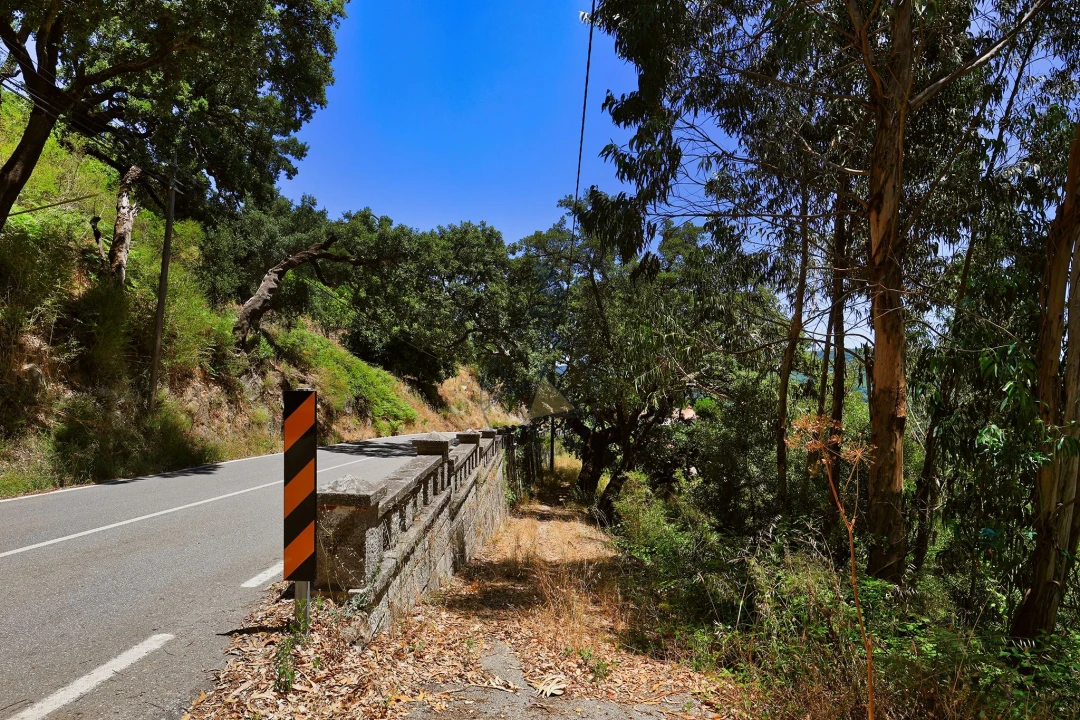 Terreno para Venda em Monchique Foto 33