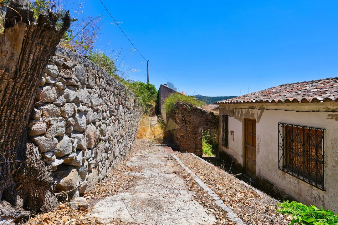 Terreno para Venda em Monchique Foto 6