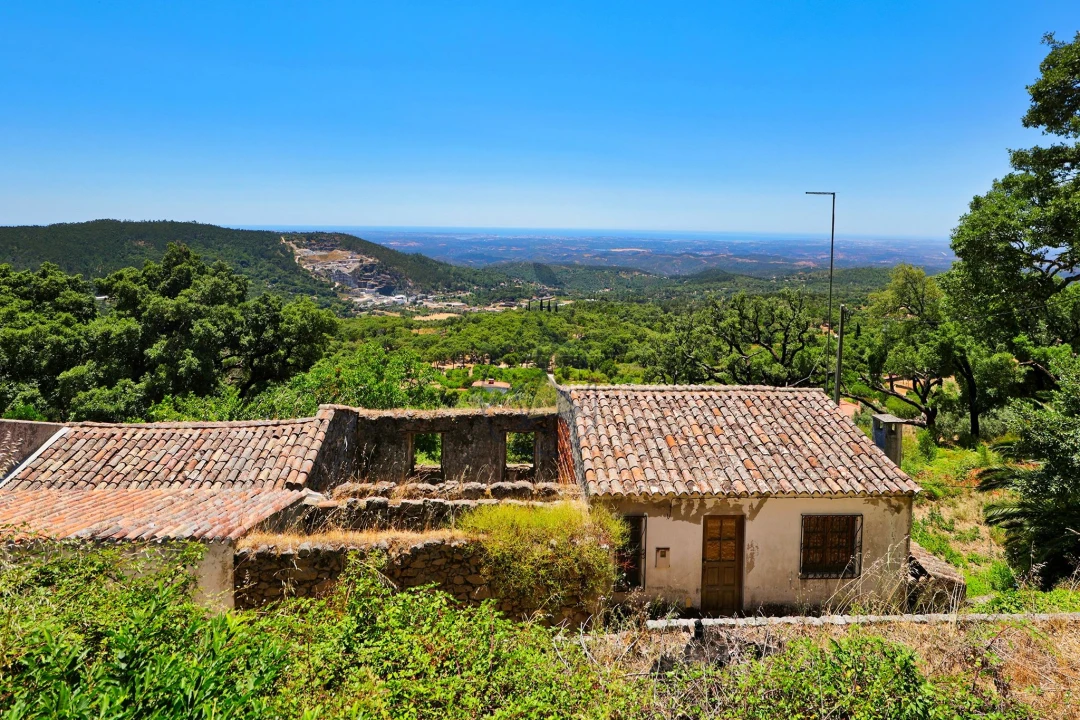Terreno para Venda em Monchique Foto 5