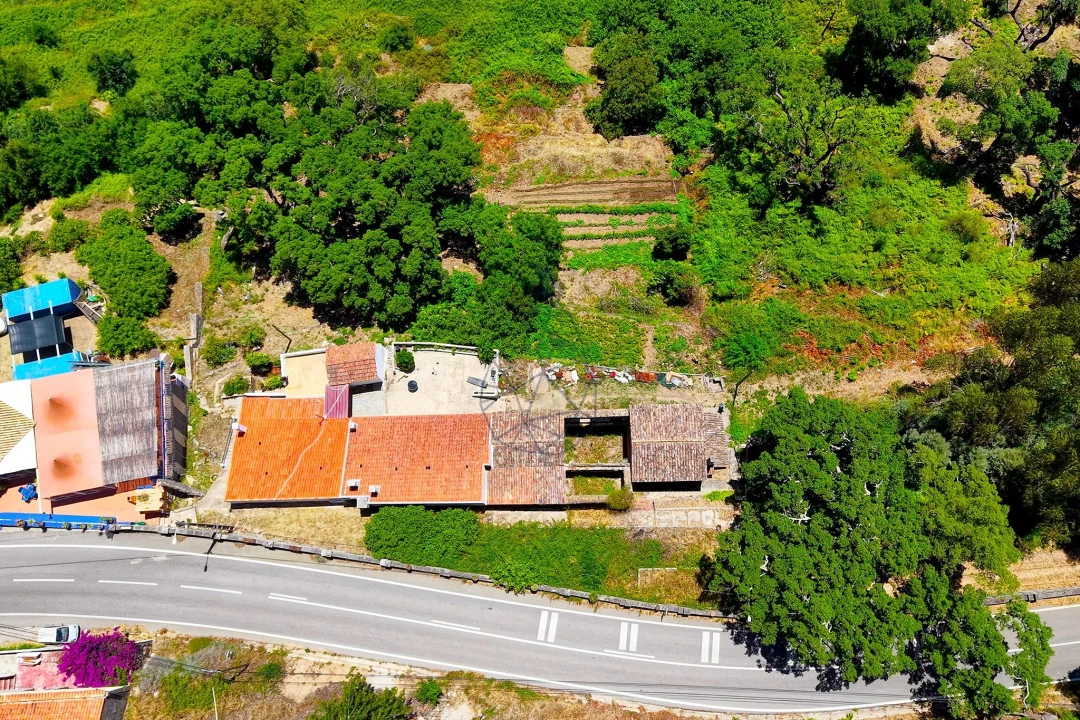 Terreno para Venda em Monchique Foto 30