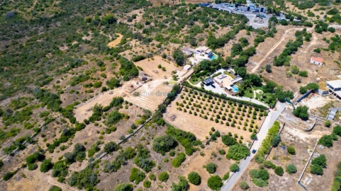 Terreno Misto para Venda em Ferreiras