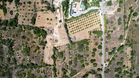 Terreno Misto para Venda em Ferreiras
