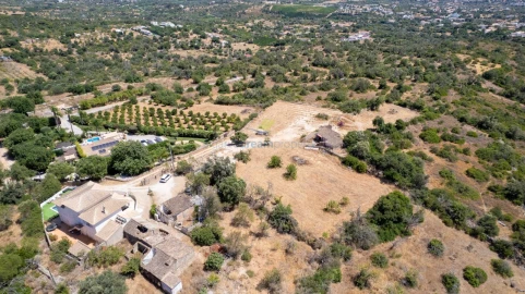 Terreno Misto para Venda em Ferreiras