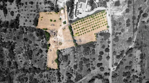 Terreno Misto para Venda em Ferreiras