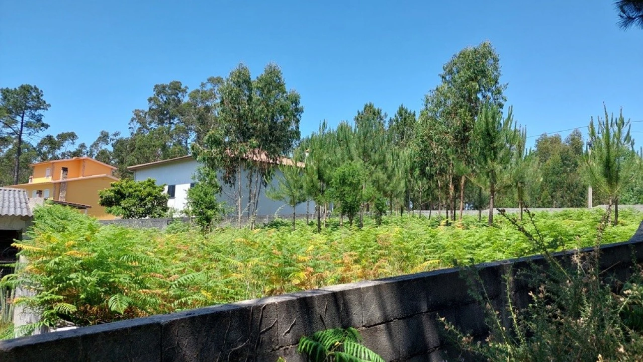 Terreno para Venda em Monte Real e Carvide Foto 6