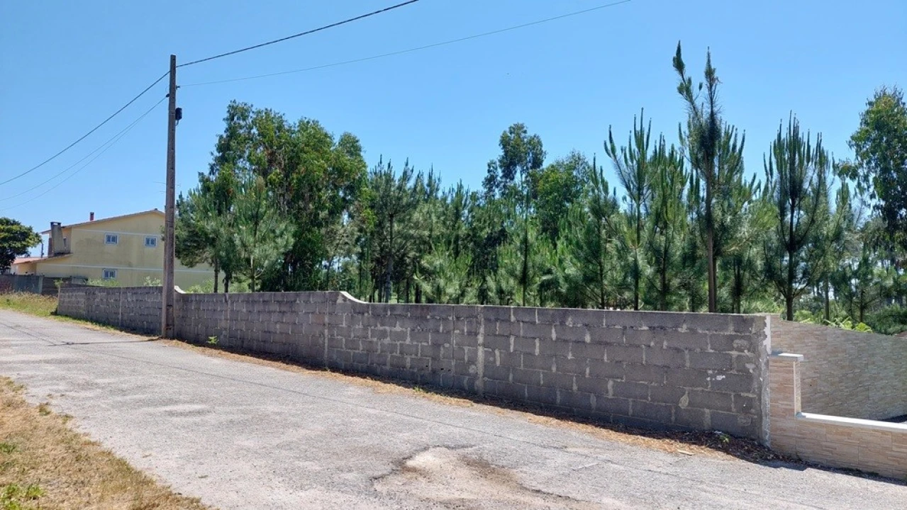 Terreno para Venda em Monte Real e Carvide Foto 8