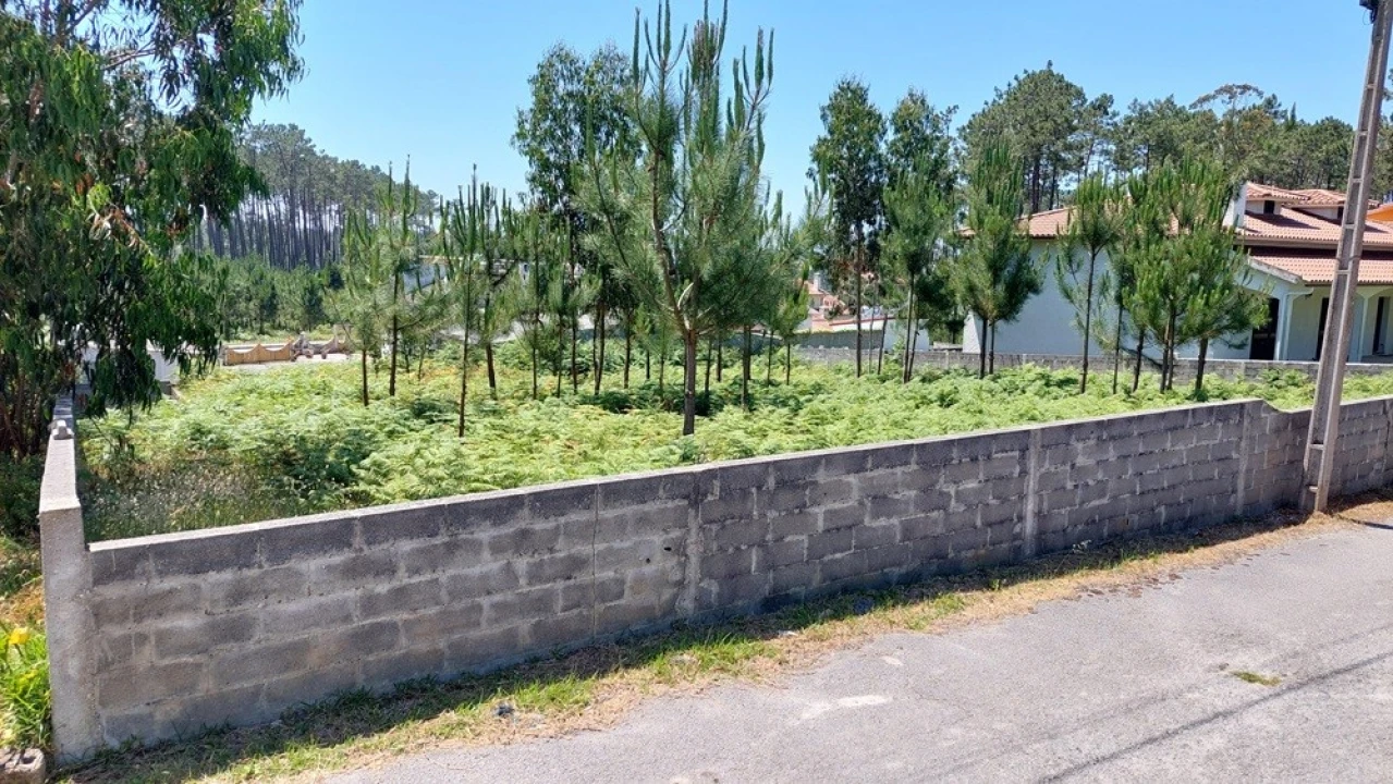 Terreno para Venda em Monte Real e Carvide Foto 9