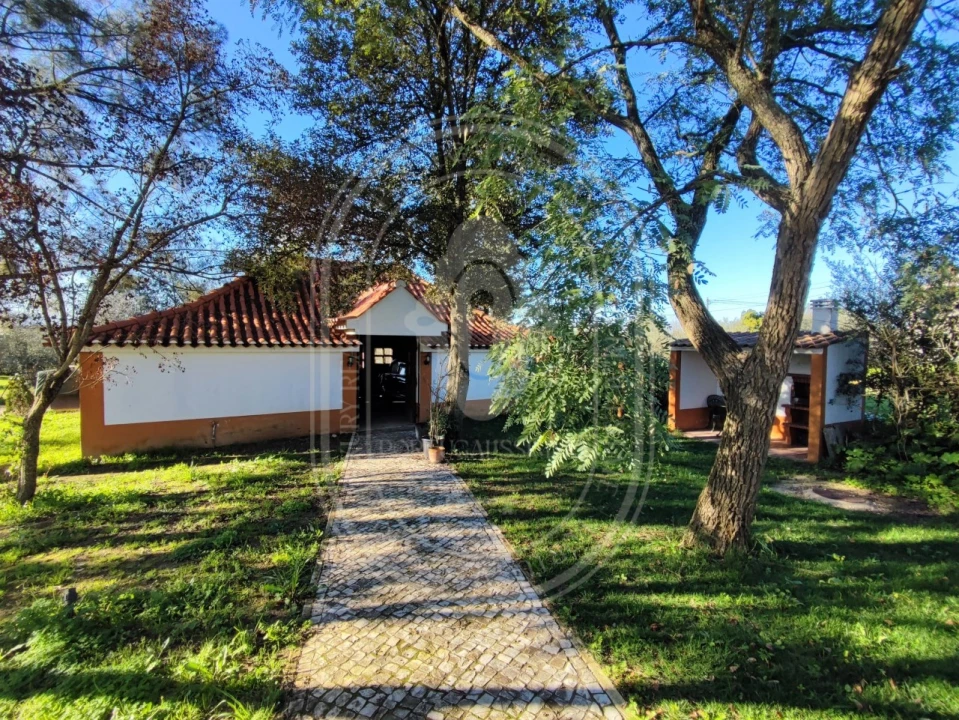 Moradia T4 para Venda em Paialvo Foto 38