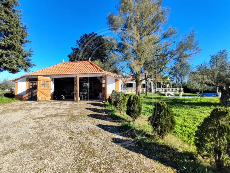Moradia T4 para Venda em Paialvo Foto 40