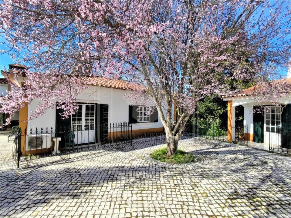 Moradia T4 para Venda em Paialvo Foto 4