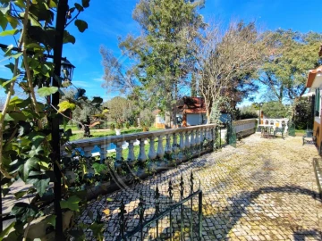 Moradia T4 para Venda em Paialvo