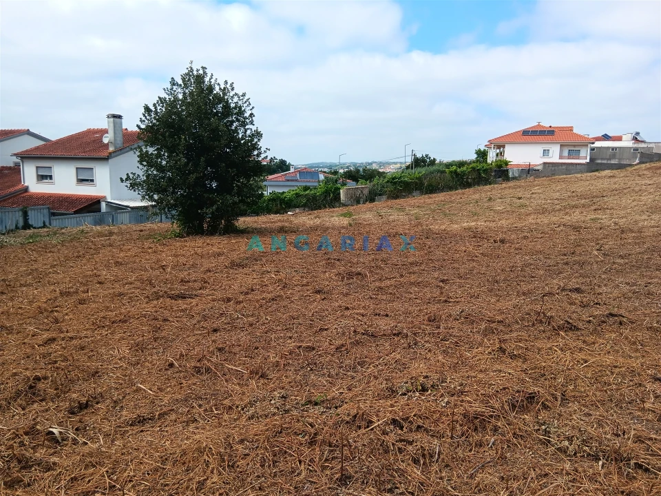 Terreno para Venda em Batalha Foto 3