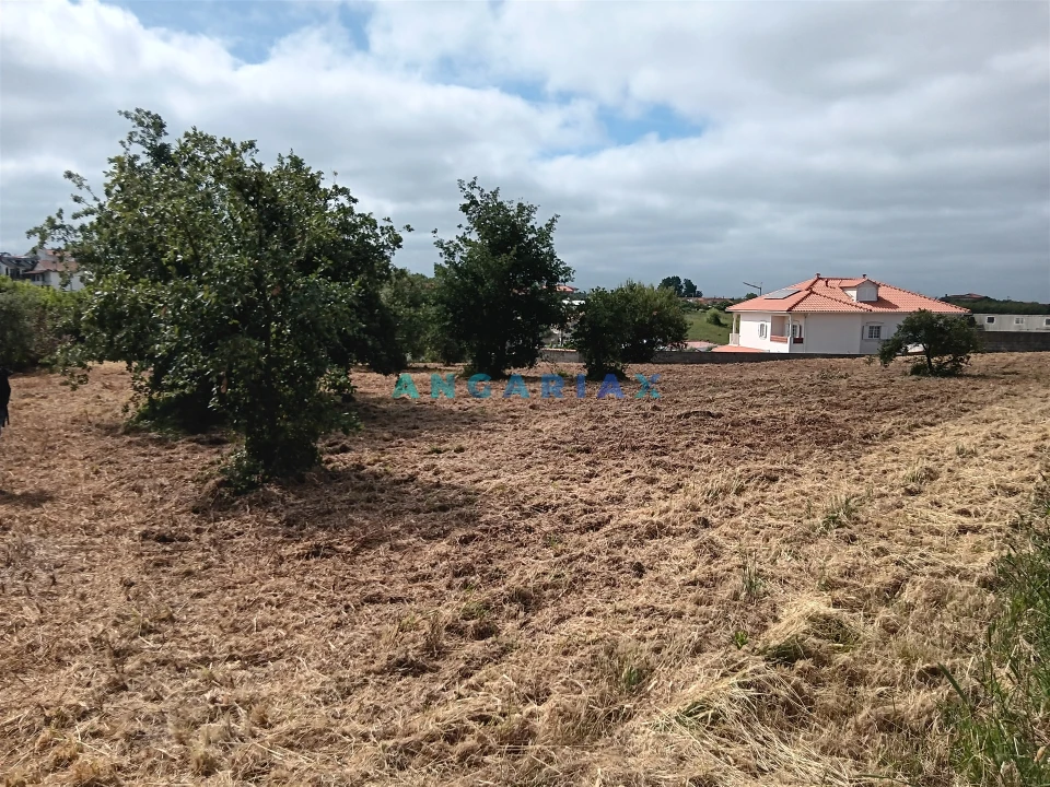Terreno para Venda em Batalha Foto 2
