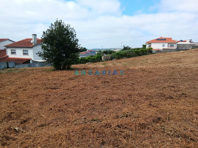 Terreno para Venda em Batalha Foto 3
