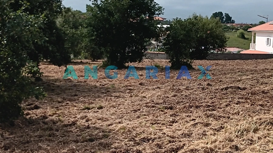Terreno para Venda em Batalha