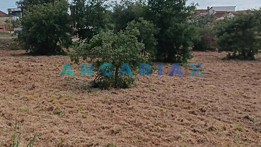 Terreno para Venda em Batalha