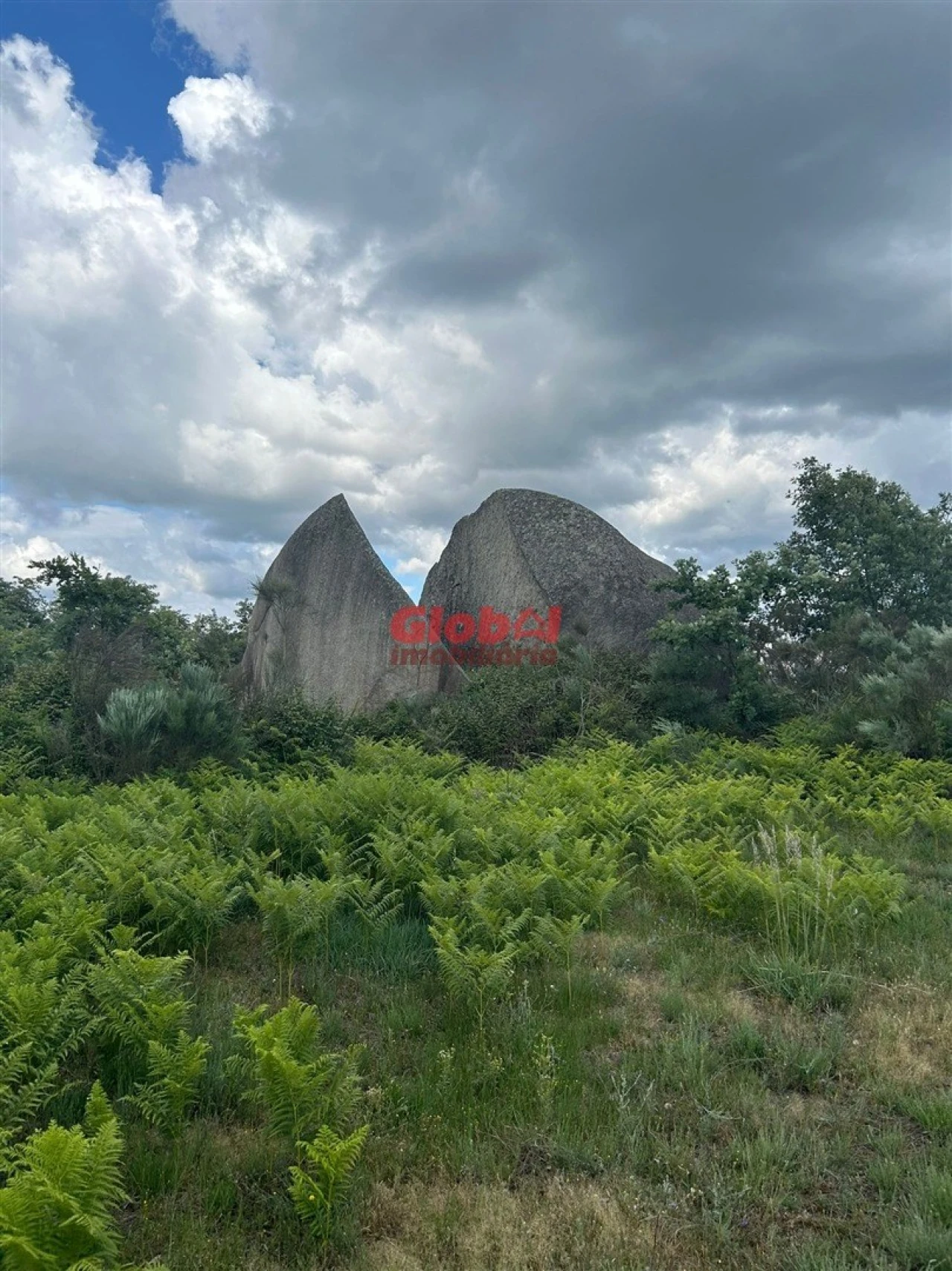 Quinta T0 para Venda em Tavares (Chãs, Várzea e Travanca) Foto 1