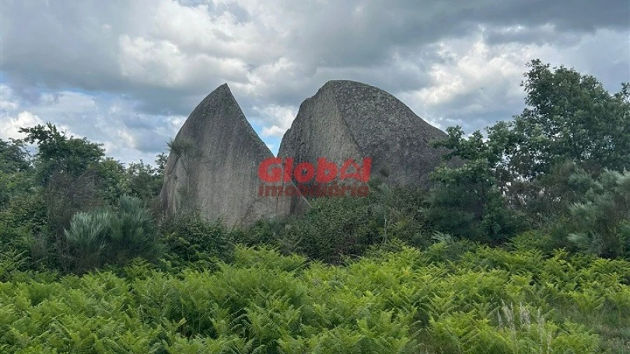Quinta T0 para Venda em Tavares (Chãs, Várzea e Travanca)