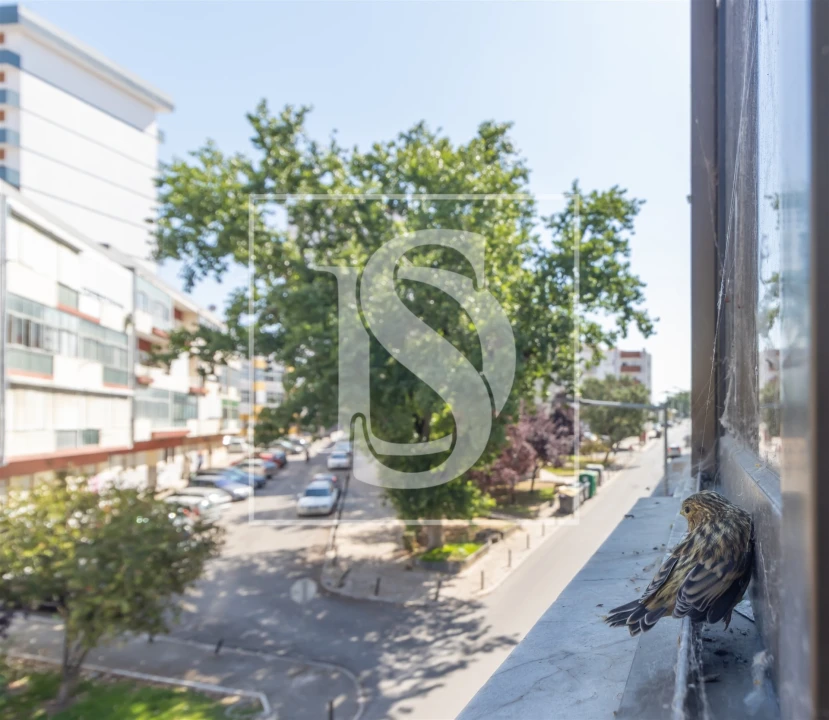 Apartamento T1 para Venda em Alto do Seixalinho, Santo André e Verderena Foto 10
