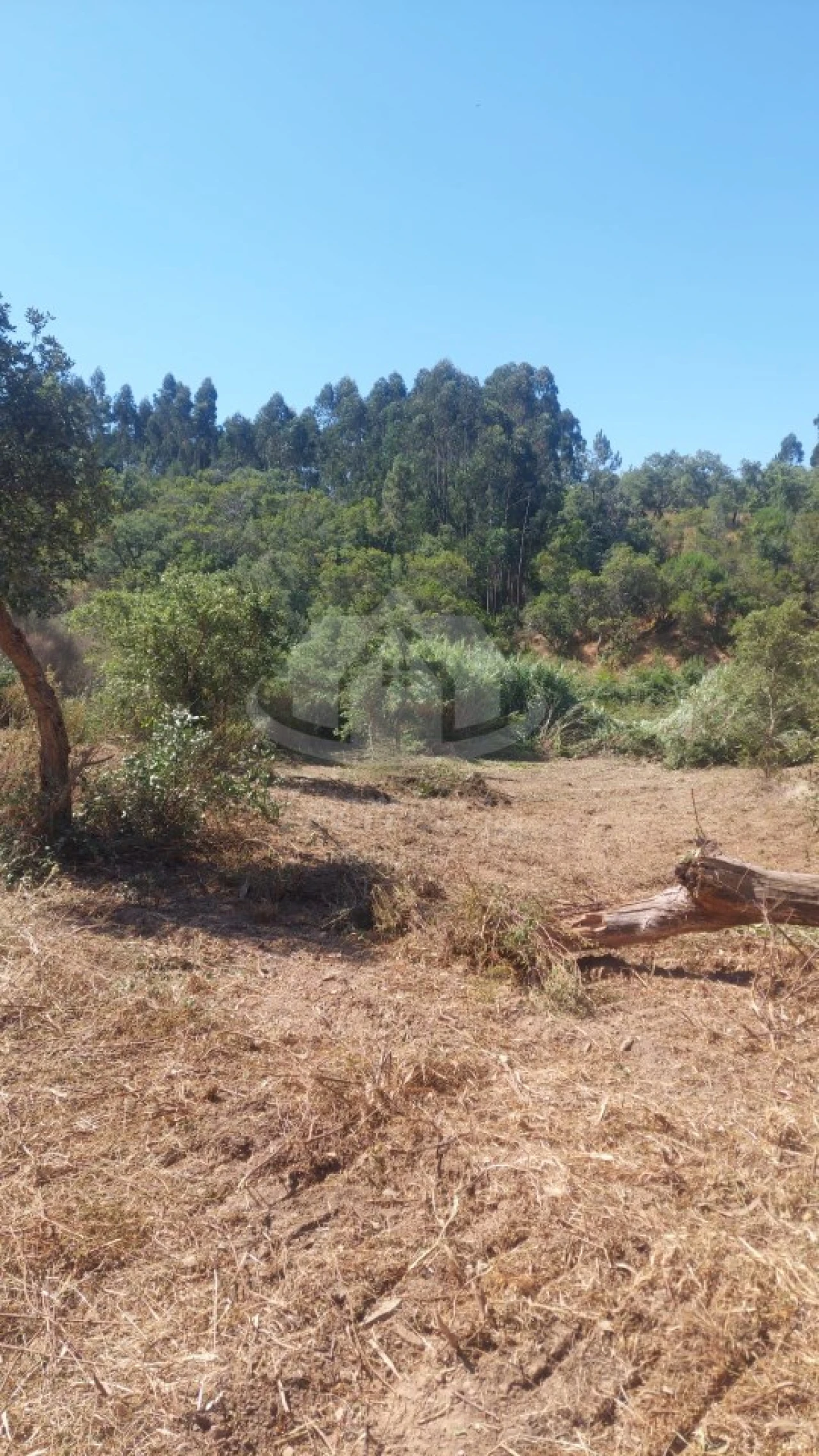 Terreno Agricola ou Rústico para Venda em São Francisco da Serra Foto 1