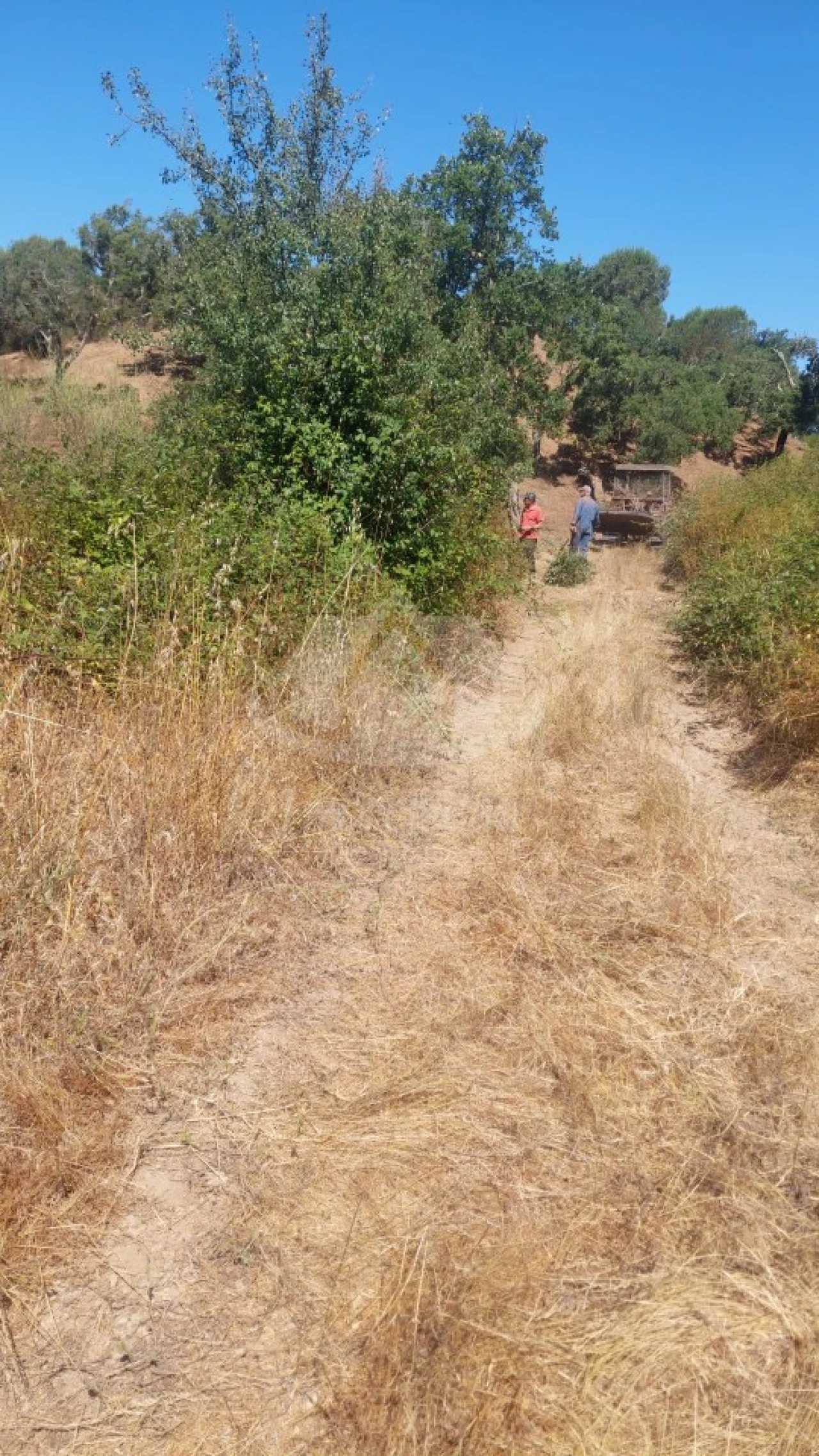 Terreno Agricola ou Rústico para Venda em São Francisco da Serra Foto 2