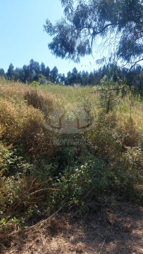 Terreno Agricola ou Rústico para Venda em São Francisco da Serra