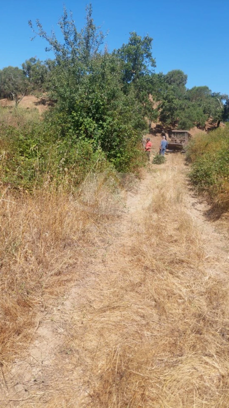 Terreno Agricola ou Rústico para Venda em São Francisco da Serra Foto 2
