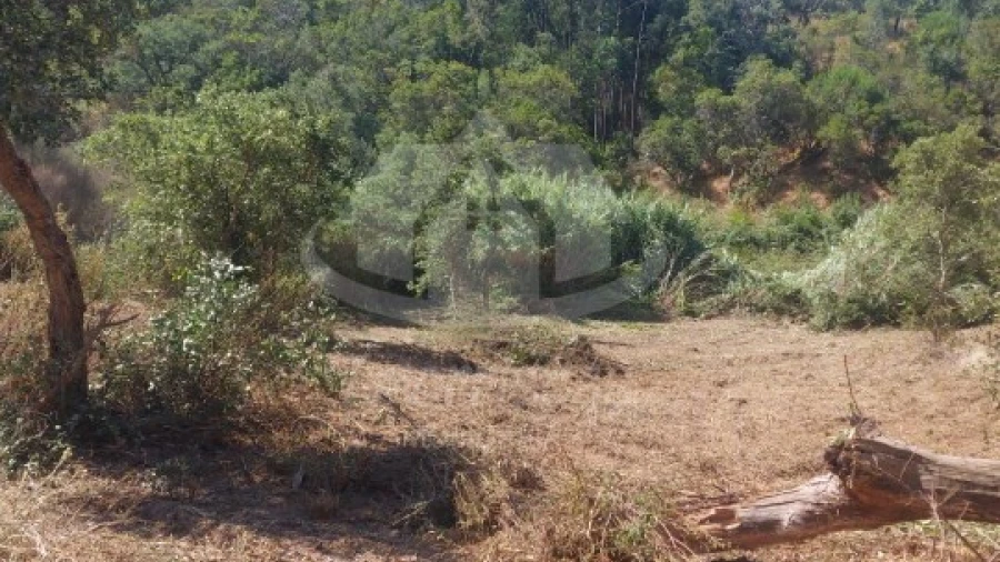 Terreno Agricola ou Rústico para Venda em São Francisco da Serra