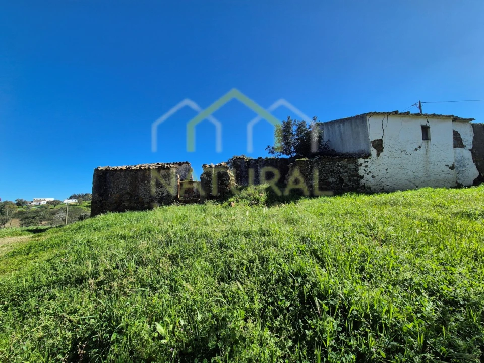 Terreno para Venda em Salir Foto 1